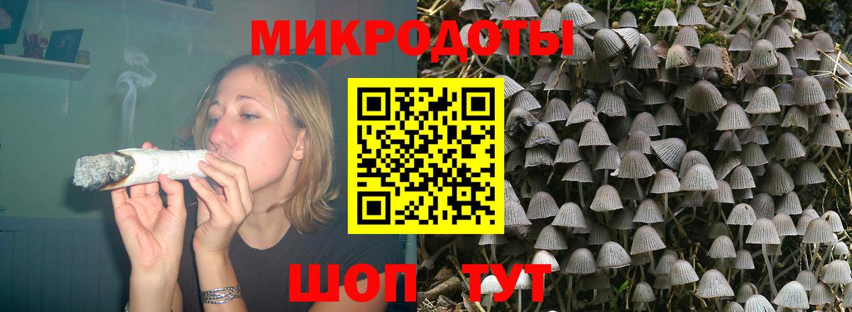 Псилоцибиновые грибы Psilocybe Волжск